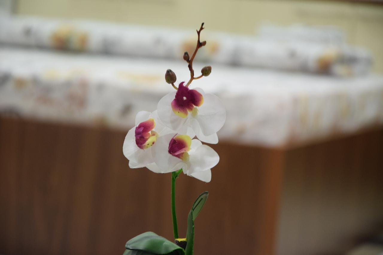 Guest House Agropapuk Šid Dış mekan fotoğraf